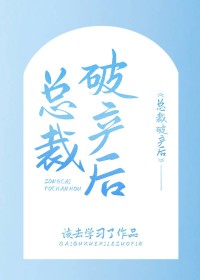 总裁破产后
