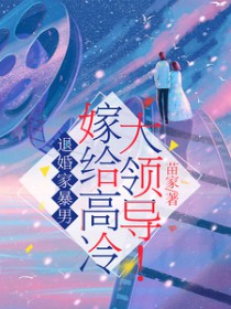 退婚家暴男，嫁给高冷大领导